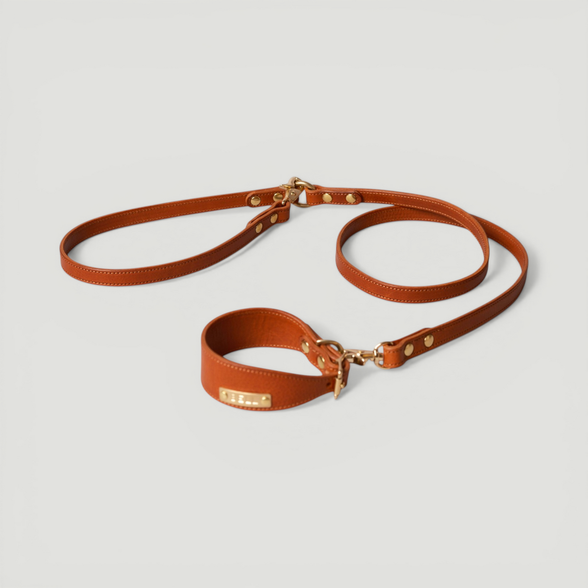 イタリアンレザーの首輪