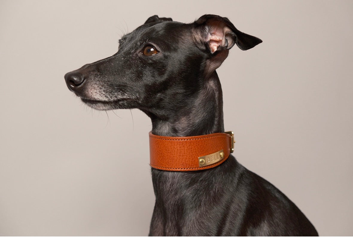 ドッグレザーアート　DOG LEATHER ART
